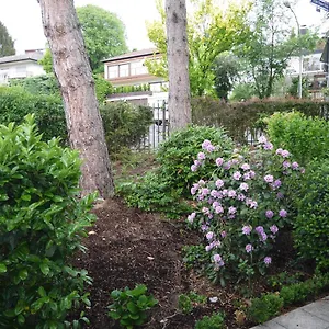 https://bergen-villa.frankfurtammainhotels.com